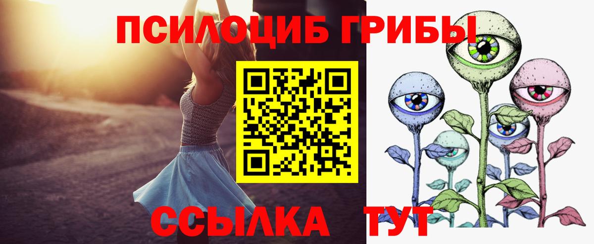 Ейск  Псилоцибиновые грибы Psilocybine cubensis  Вход с VPN  Псилоцибиновые грибы Magic Shrooms 